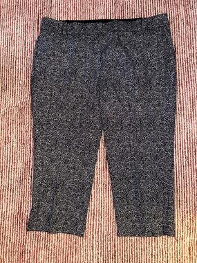 Lane Bryant Blue & White Ankle Pants